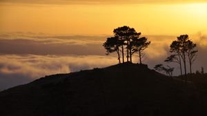 Preview wallpaper trees, hill, silhouettes, clouds, nature, dark