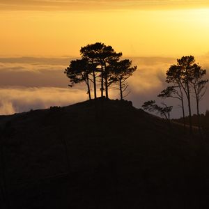 Preview wallpaper trees, hill, silhouettes, clouds, nature, dark