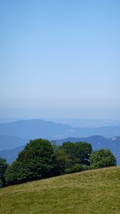 Preview wallpaper trees, hill, slope, mountains