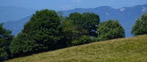 Preview wallpaper trees, hill, slope, mountains