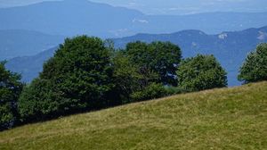 Preview wallpaper trees, hill, slope, mountains