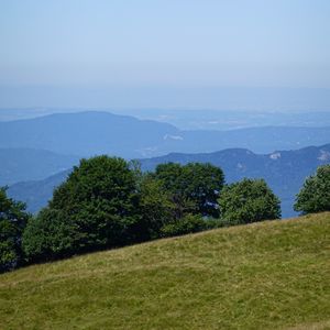 Preview wallpaper trees, hill, slope, mountains