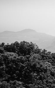 Preview wallpaper trees, hills, fog, black and white, nature