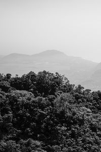 Preview wallpaper trees, hills, fog, black and white, nature