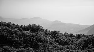 Preview wallpaper trees, hills, fog, black and white, nature