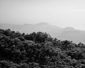 Preview wallpaper trees, hills, fog, black and white, nature