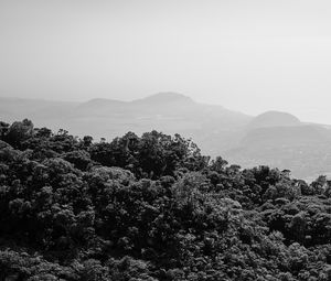 Preview wallpaper trees, hills, fog, black and white, nature