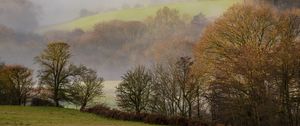 Preview wallpaper trees, hills, fog, landscape