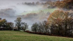 Preview wallpaper trees, hills, fog, autumn, landscape, nature