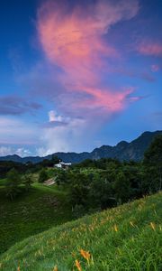 Preview wallpaper trees, hills, grass, mountains, sky, clouds, landscape