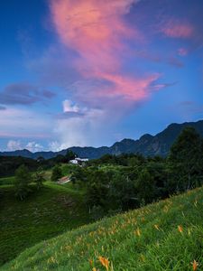 Preview wallpaper trees, hills, grass, mountains, sky, clouds, landscape