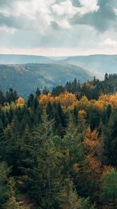 Preview wallpaper trees, hills, landscape, fog