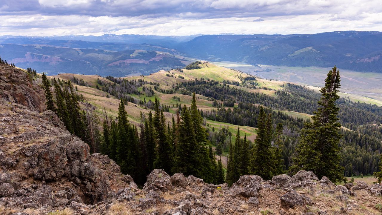 Wallpaper trees, hills, nature, landscape