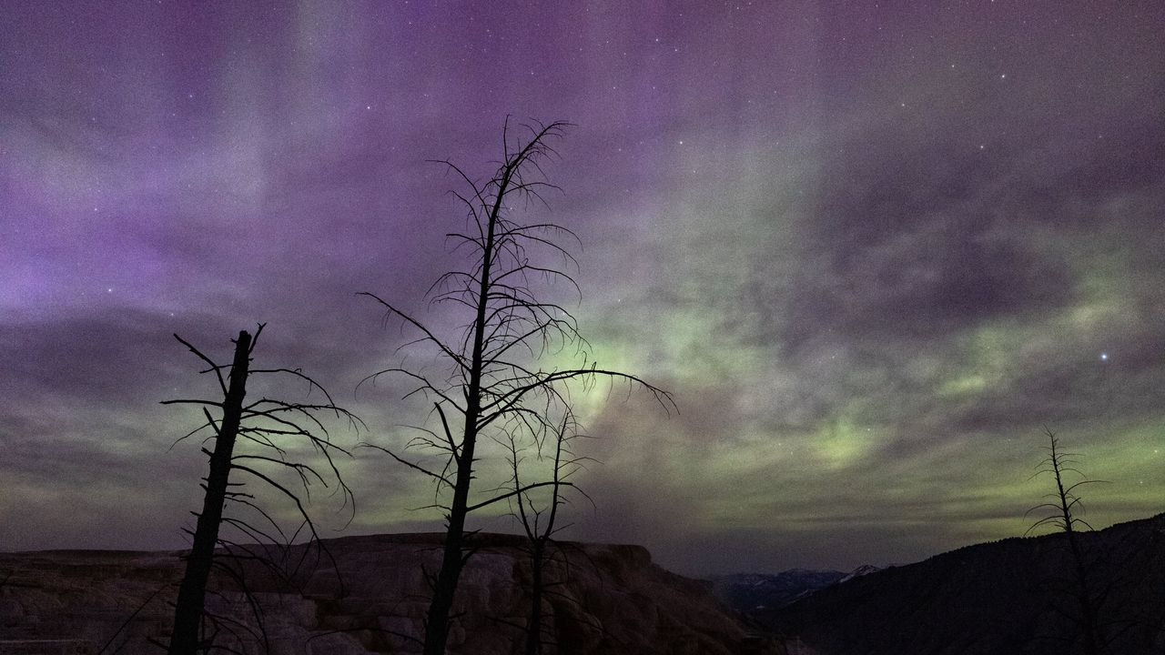 Wallpaper trees, hills, northern lights, night