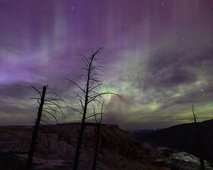 Preview wallpaper trees, hills, northern lights, night