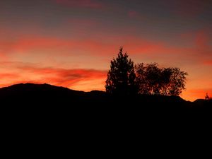 Preview wallpaper trees, hills, silhouette, sunset, nature, dark