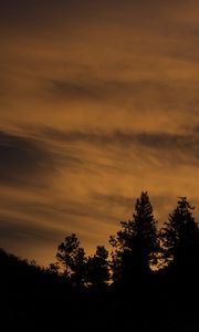 Preview wallpaper trees, hills, silhouettes, evening