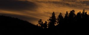 Preview wallpaper trees, hills, silhouettes, evening