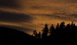 Preview wallpaper trees, hills, silhouettes, evening