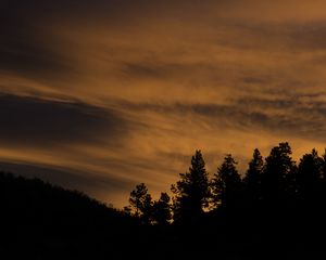 Preview wallpaper trees, hills, silhouettes, evening