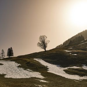 Preview wallpaper trees, hills, snow, nature, landscape