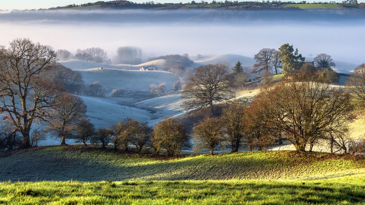 Wallpaper trees, hills, snow, fog, landscape, nature
