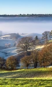Preview wallpaper trees, hills, snow, fog, landscape, nature