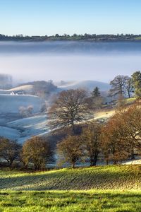 Preview wallpaper trees, hills, snow, fog, landscape, nature