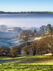 Preview wallpaper trees, hills, snow, fog, landscape, nature