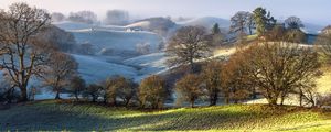 Preview wallpaper trees, hills, snow, fog, landscape, nature