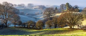 Preview wallpaper trees, hills, snow, fog, landscape, nature