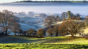 Preview wallpaper trees, hills, snow, fog, landscape, nature