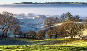 Preview wallpaper trees, hills, snow, fog, landscape, nature