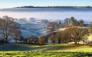 Preview wallpaper trees, hills, snow, fog, landscape, nature
