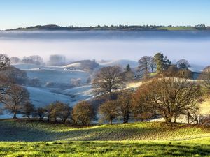 Preview wallpaper trees, hills, snow, fog, landscape, nature