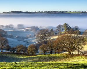 Preview wallpaper trees, hills, snow, fog, landscape, nature