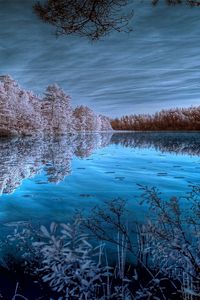 Preview wallpaper trees, hoarfrost, lake, colors, dark blue, white, shades, reflection, cold, frosts, sky
