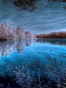 Preview wallpaper trees, hoarfrost, lake, colors, dark blue, white, shades, reflection, cold, frosts, sky