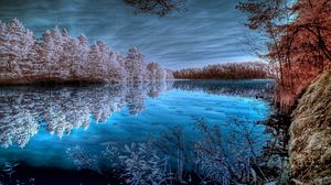 Preview wallpaper trees, hoarfrost, lake, colors, dark blue, white, shades, reflection, cold, frosts, sky