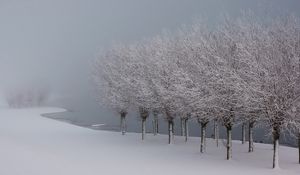 Preview wallpaper trees, hoarfrost, lake, coast, garden, gray hair, winter, white