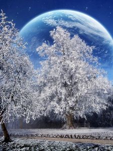 Preview wallpaper trees, hoarfrost, planet, earth, sky, stars, park