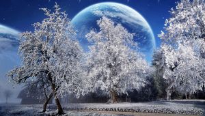 Preview wallpaper trees, hoarfrost, planet, earth, sky, stars, park