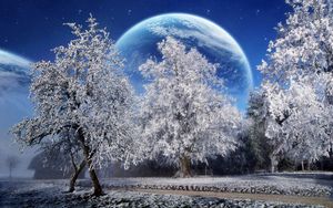 Preview wallpaper trees, hoarfrost, planet, earth, sky, stars, park