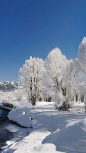 Preview wallpaper trees, hoarfrost, winter, river, source, current, day