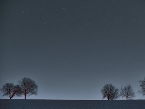 Preview wallpaper trees, horizon, night, stars
