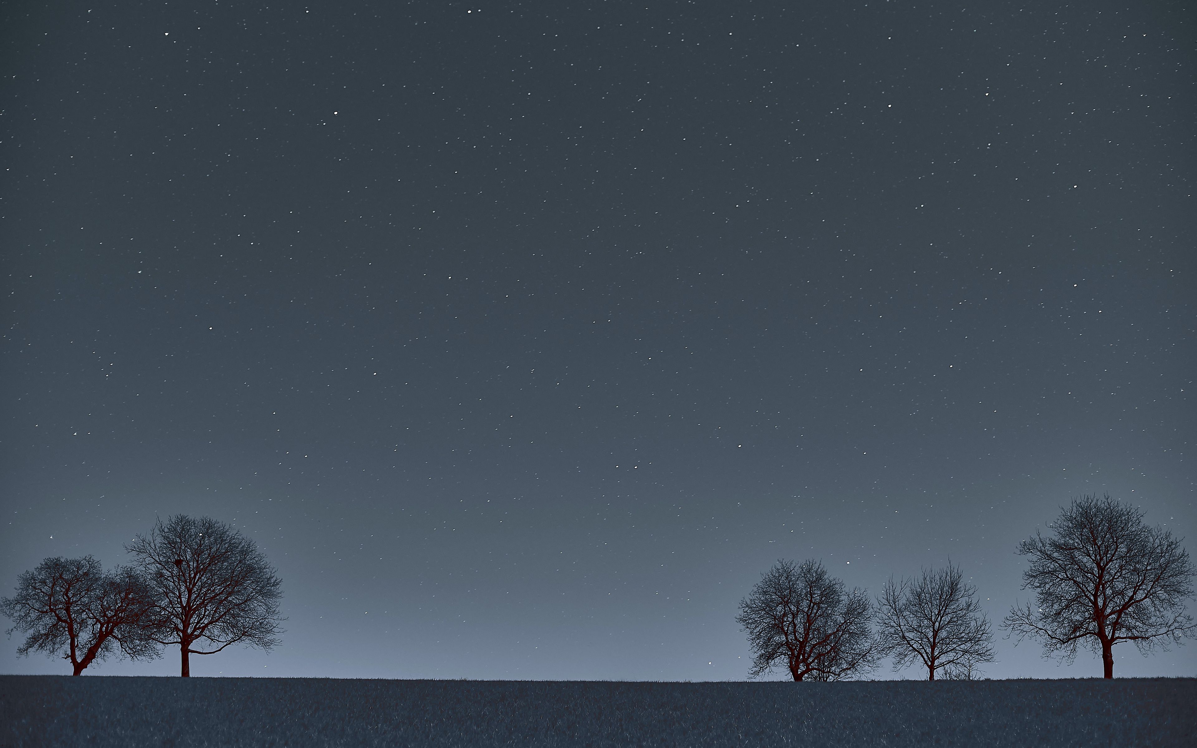 Download wallpaper 3840x2400 trees, horizon, night, stars 4k ultra hd