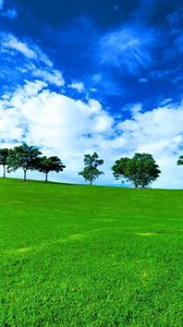 Preview wallpaper trees, horizon, summer, row, clouds, meadow, blue, green, day
