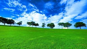 Preview wallpaper trees, horizon, summer, row, clouds, meadow, blue, green, day