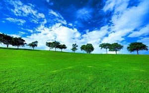 Preview wallpaper trees, horizon, summer, row, clouds, meadow, blue, green, day