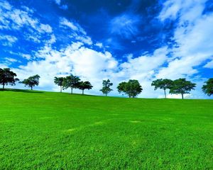 Preview wallpaper trees, horizon, summer, row, clouds, meadow, blue, green, day